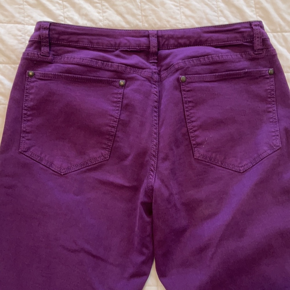 Cache Purple Pants Size 12 - Picture 4 of 5